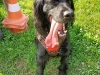 img_20240404_184210